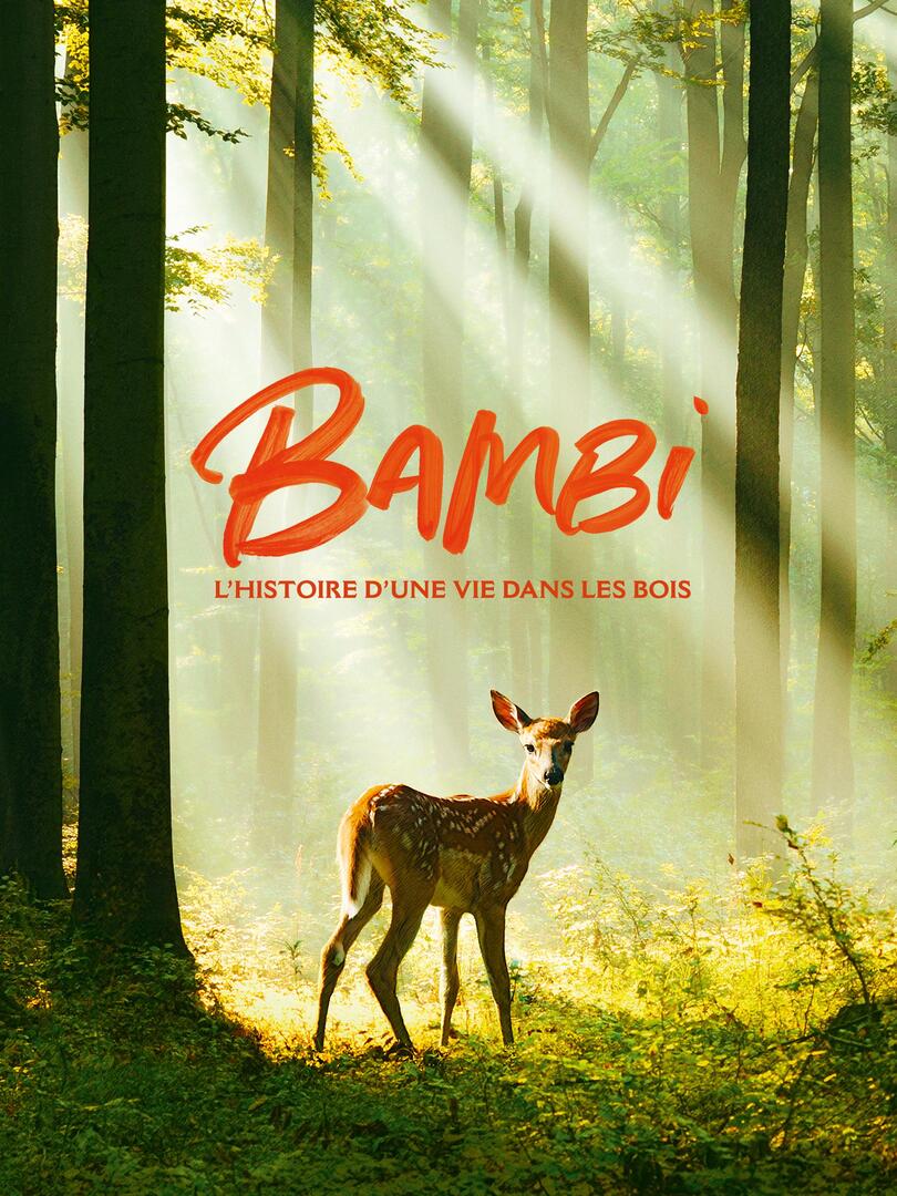 Bambi - Eine Lebensgeschichte aus dem Wald