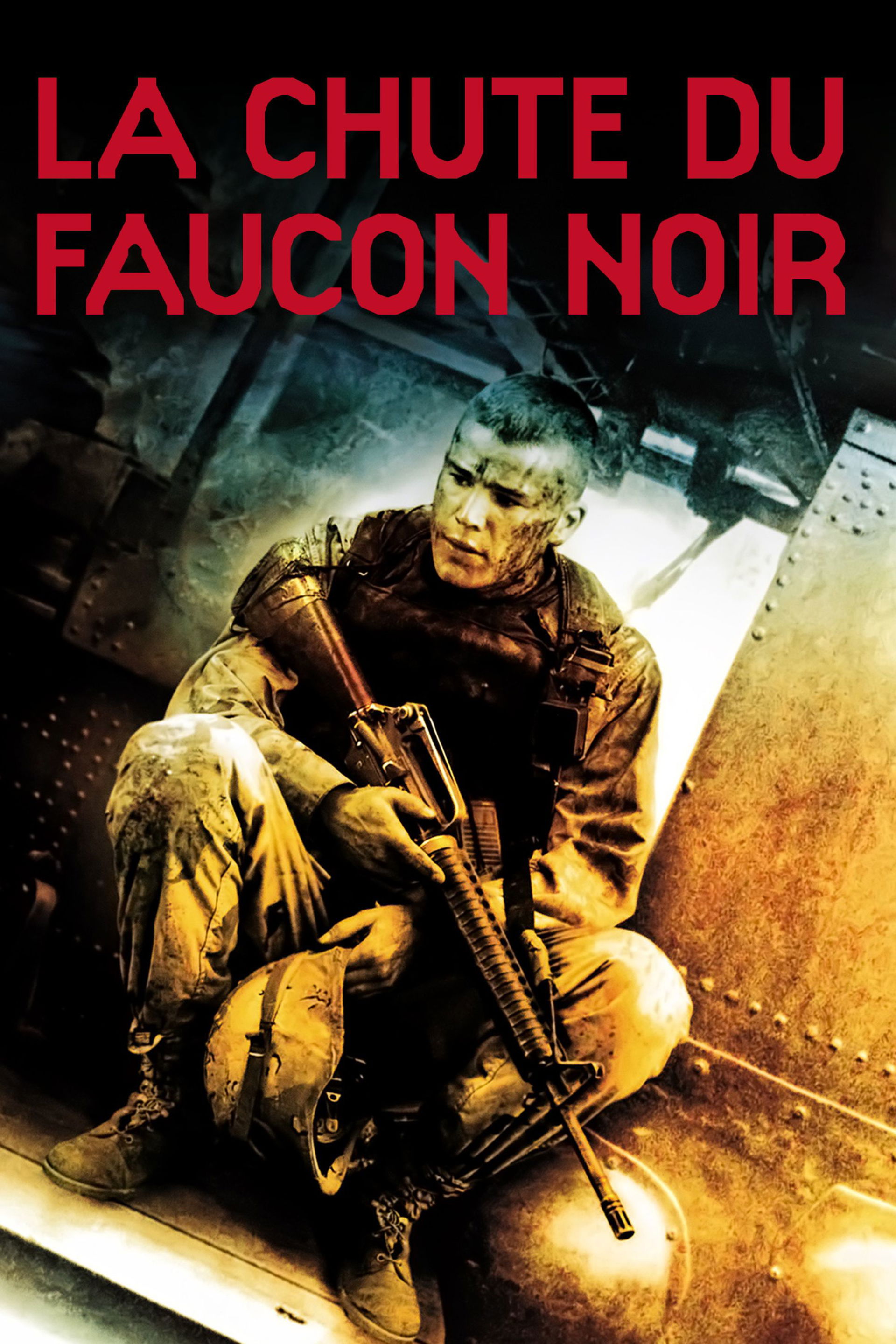 La Chute du faucon noir