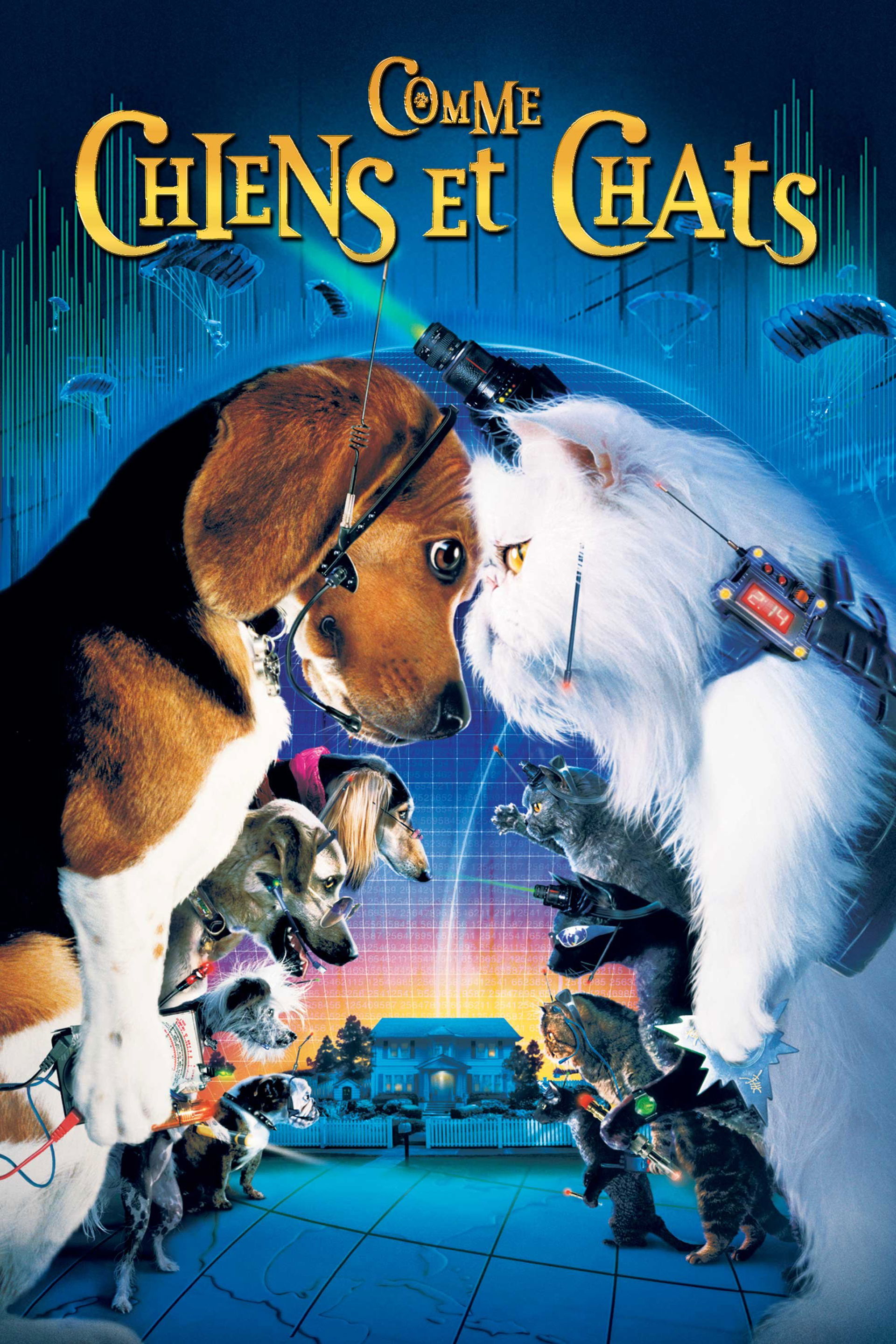 Comme chiens et chats