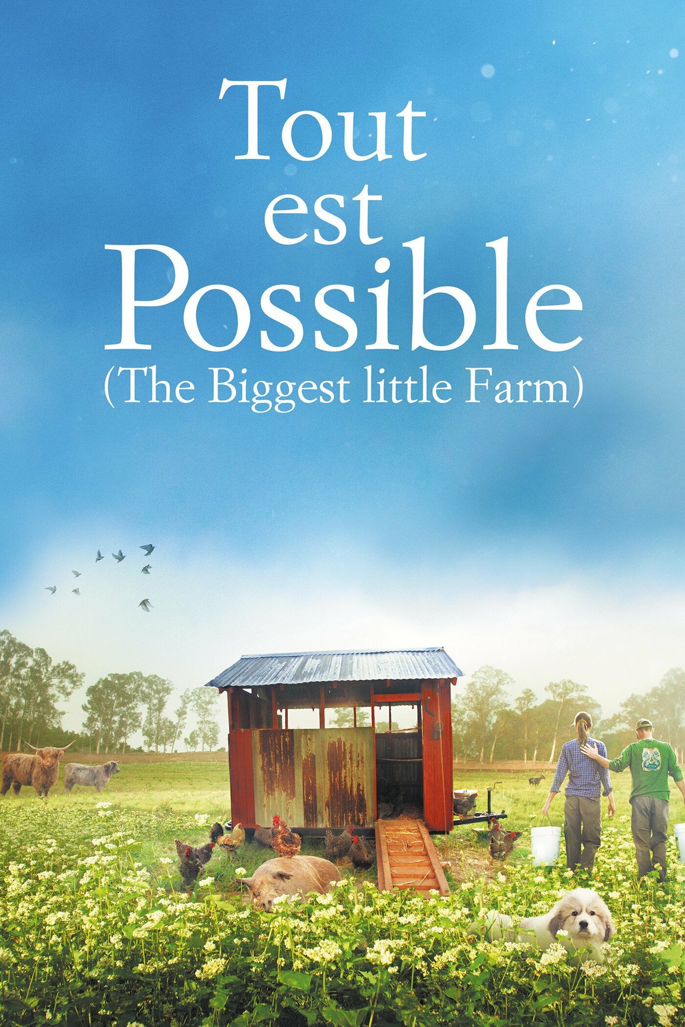 Tout est possible