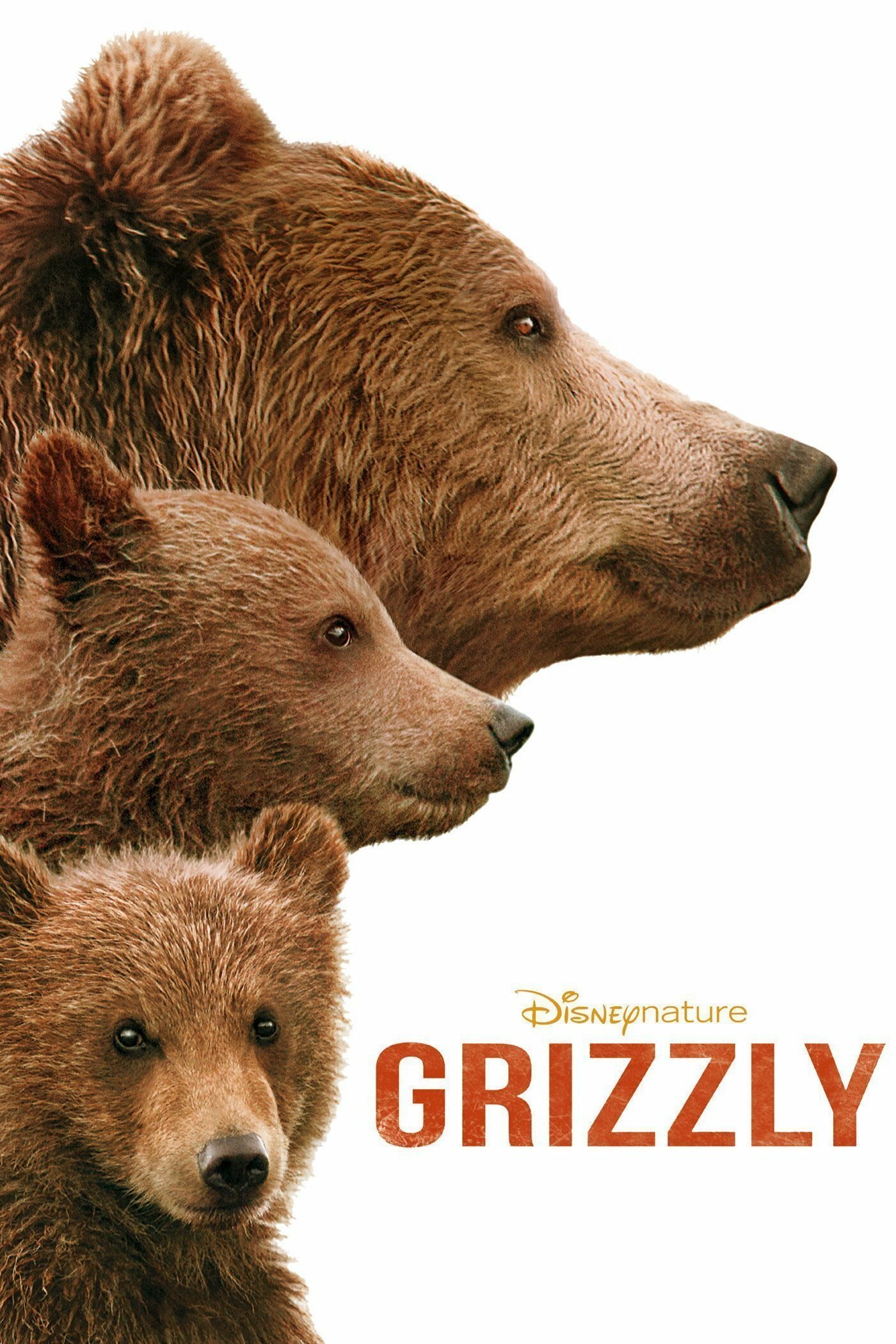 Grizzly