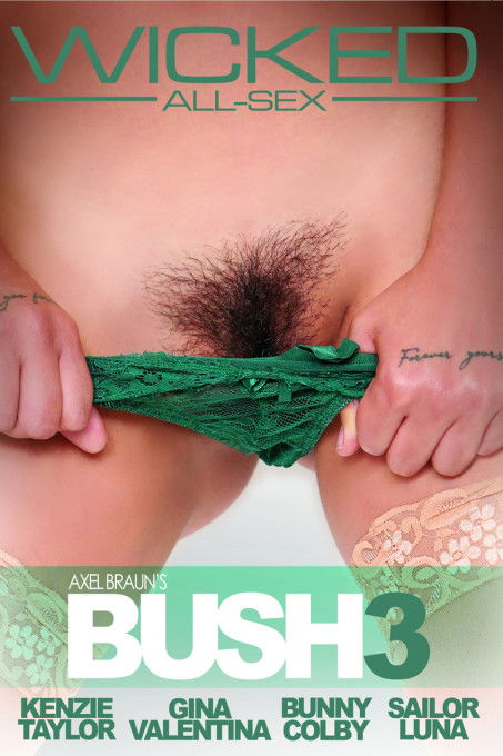 Axel Braun's BUSH 3