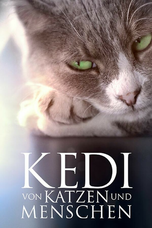 Kedi - Von Katzen und Menschen