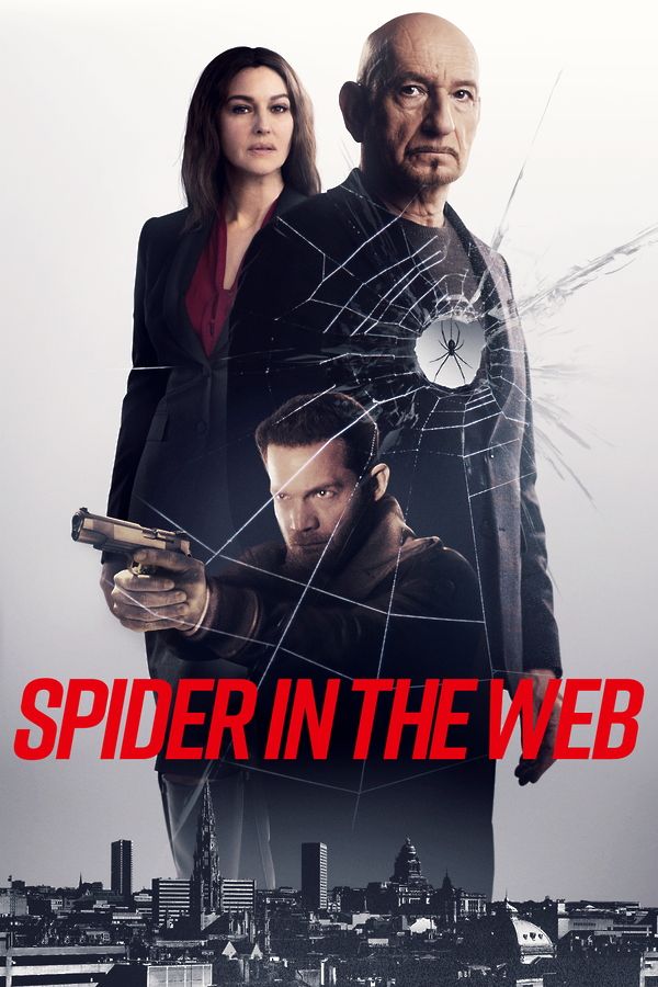 Spider In The Web